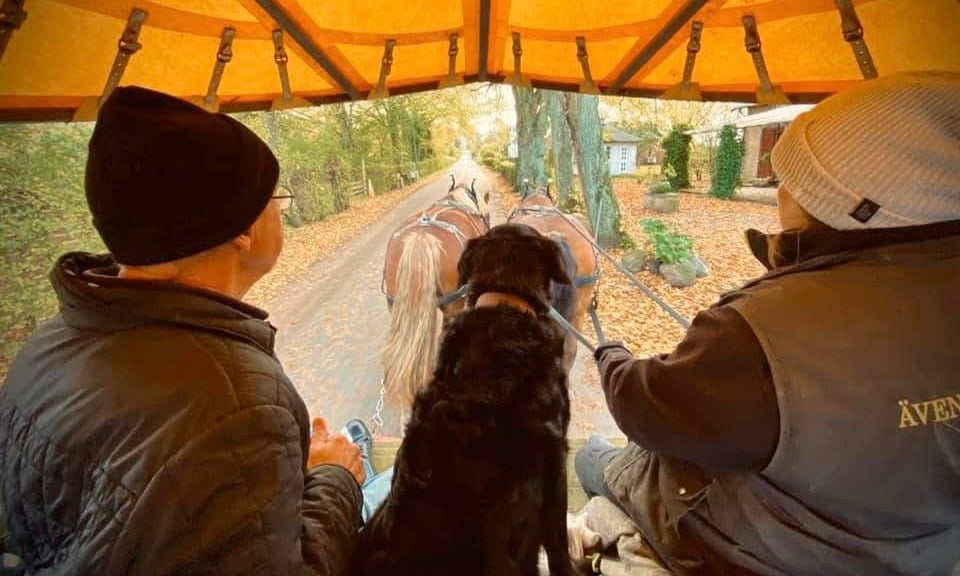 Provkörning med Lena och Tommy inför spökrundan med häst och vagn.